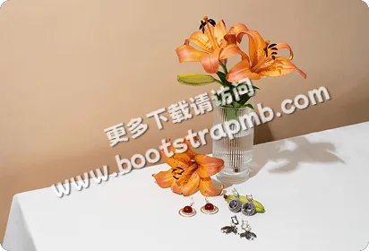 现代生活风格珠宝指南 - 爱游戏